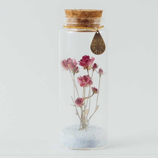 Petite Fleur（小）